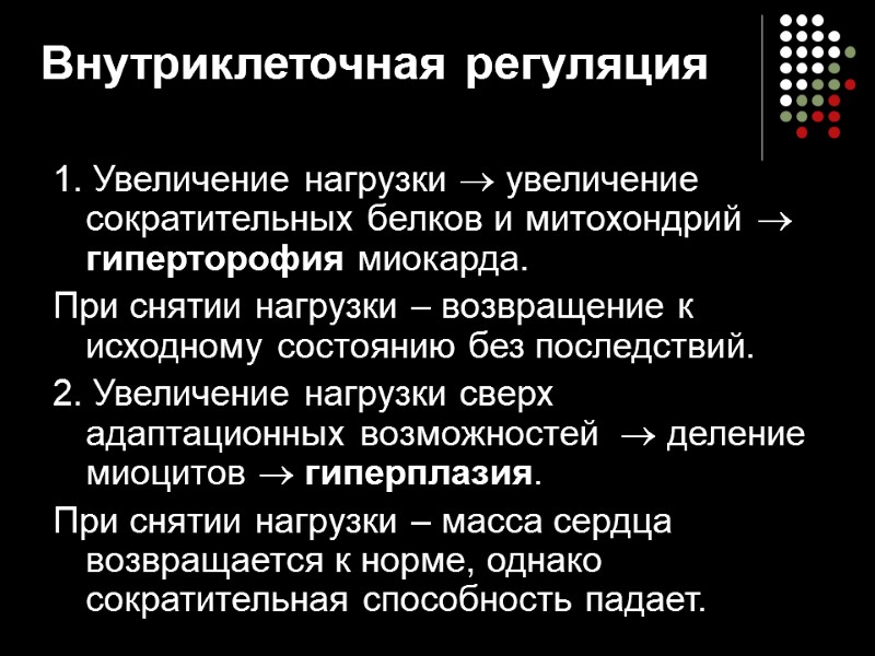 Внутриклеточная регуляция  1. Увеличение нагрузки  увеличение сократительных белков и митохондрий  гиперторофия